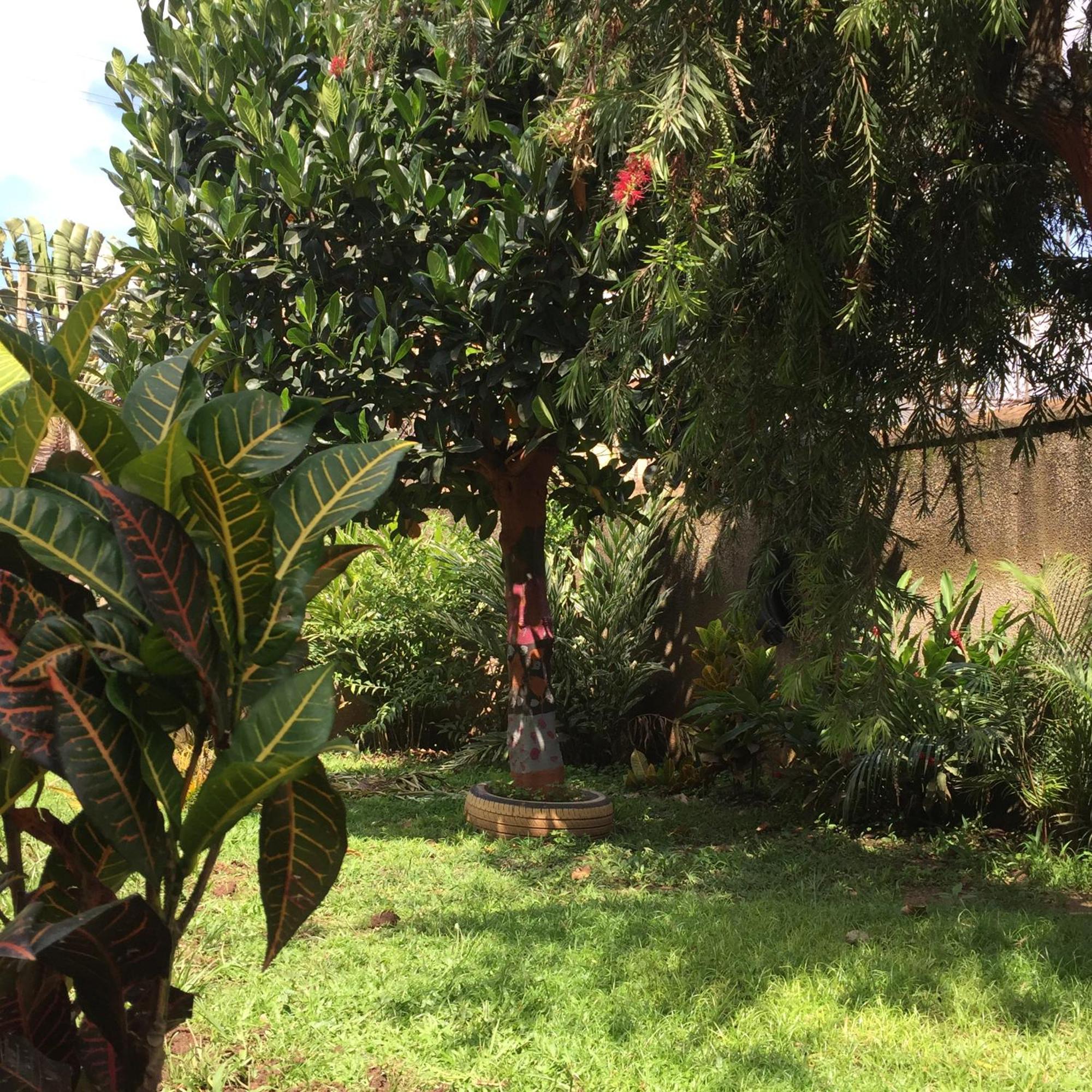 Tgs Homestay Kampala Kültér fotó
